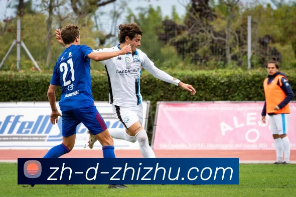 蜘蛛直播APP 封面图