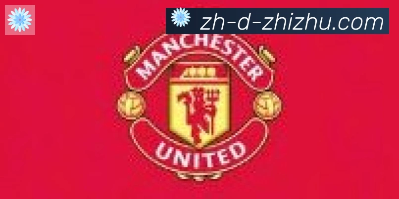 蜘蛛直播合作伙伴